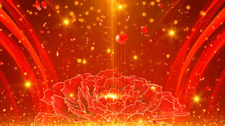 大气红色牡丹粒子金色粒子GIF动态图花朵背景